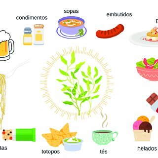 The Micronutrient Profile of Chicken: A Nutritional Powerhouse